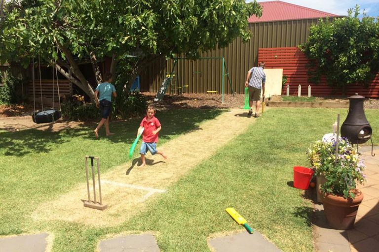 Backyard cricket pitch